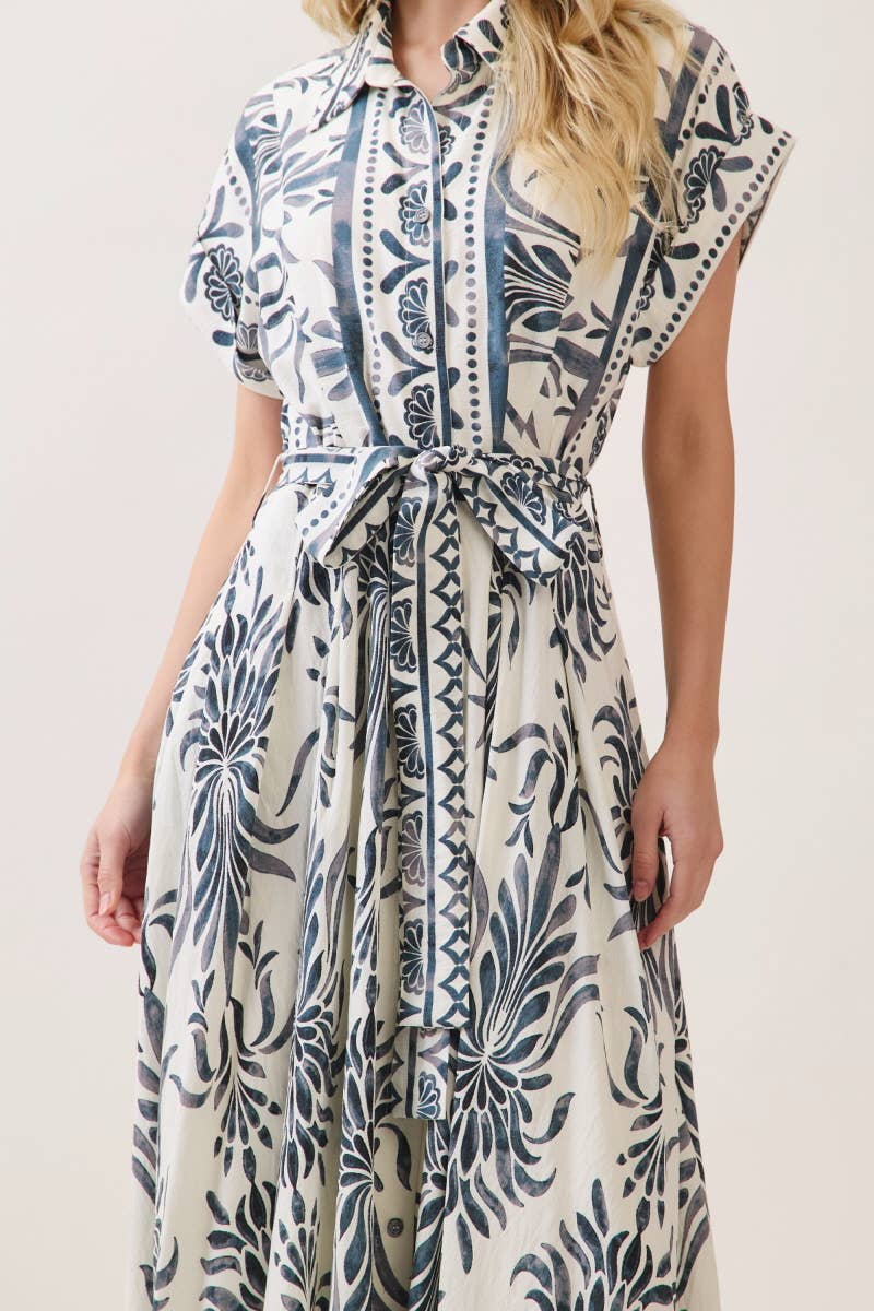 Boarder Print Button Down Maxi Dress Blue