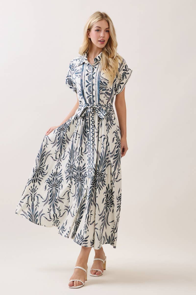 Boarder Print Button Down Maxi Dress Blue